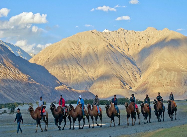 tour packages for ladakh