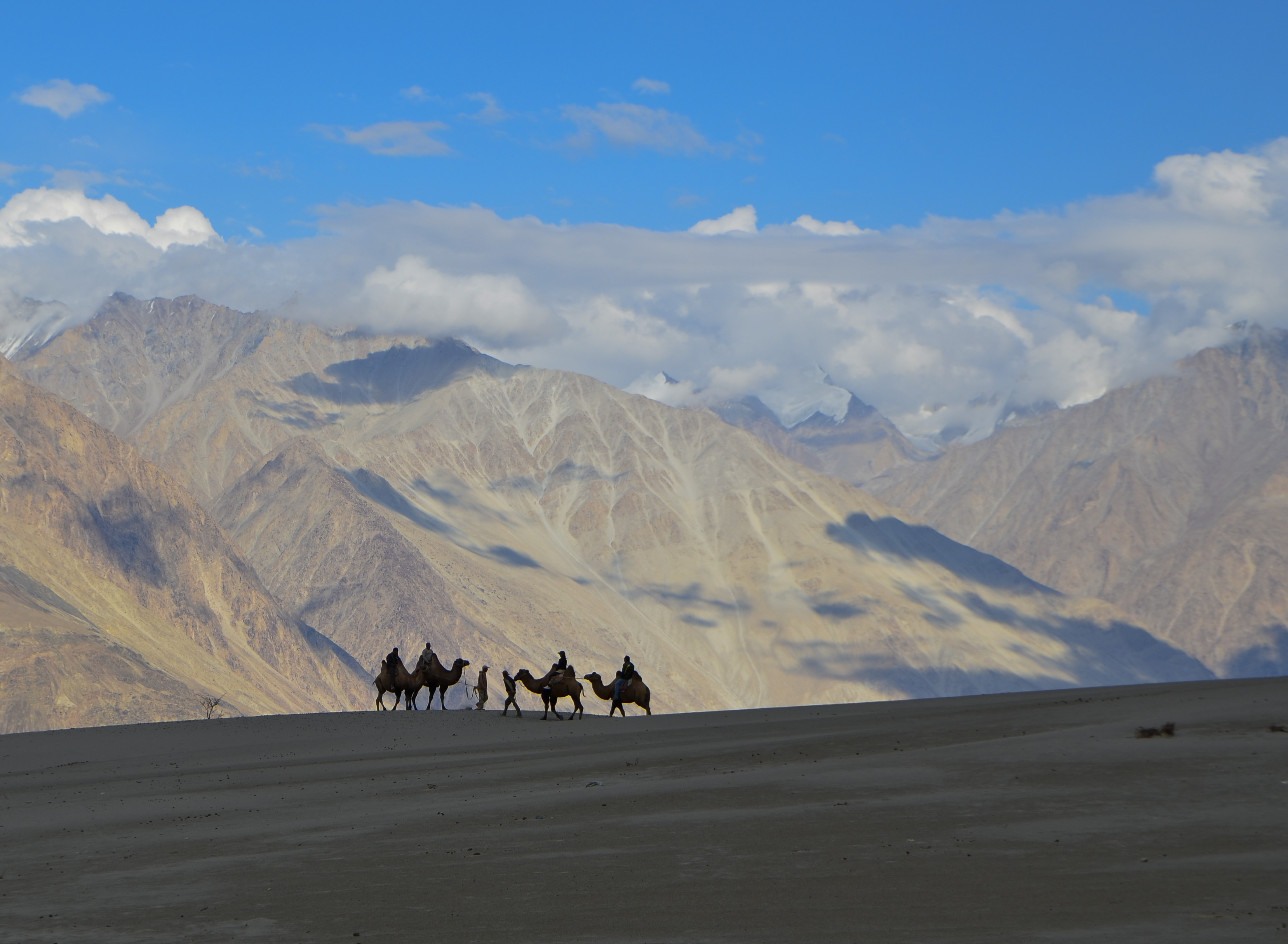 Nubra Valley Ladakh Accessible For Foreigners