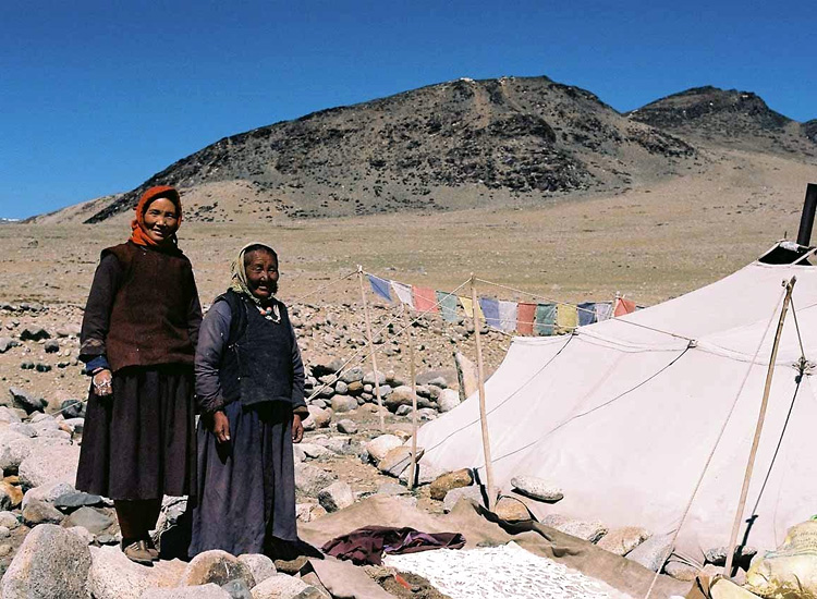 Changthang-Ladakh