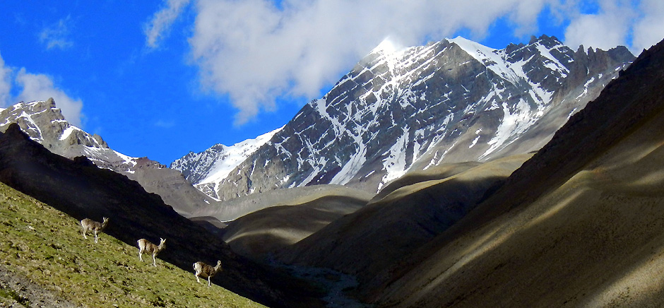 Stok Kangri Peak, Leh Ladakh
