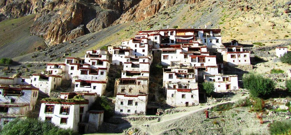 Ladakhi Houses In Padum, Leh Ladakh