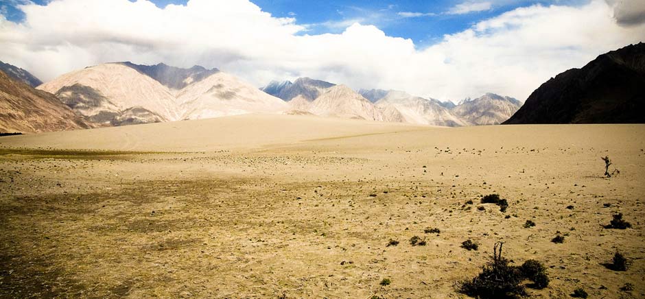 Landscapes Of Hunder, Leh Ladakh