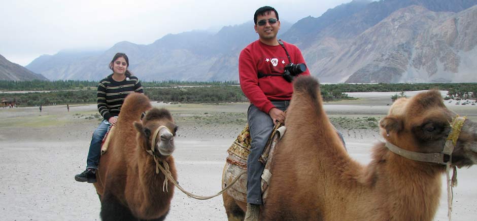 Camel Safari In Hunder, Leh Ladakh