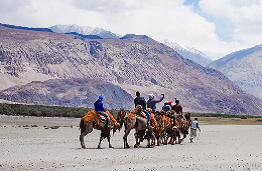 Leh Ladakh Tour With Siachen By Air