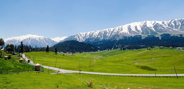 Leh Ladakh Tour Package From Delhi Leh Ladakh Tour From Delhi